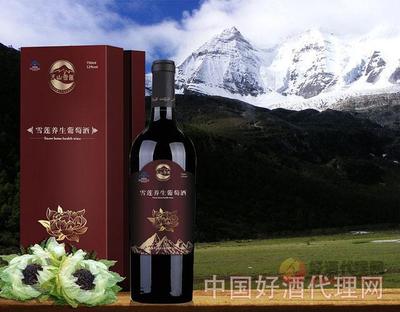 新疆葡萄酒现面临问题 应逐一解决加快发展优势