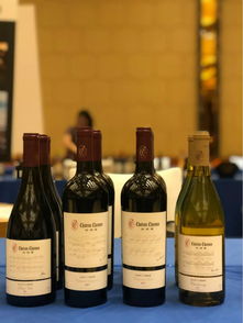 斟知酌鉴葡萄酒联盟 携手中国精品葡萄酒亮相长三角葡萄酒文化节