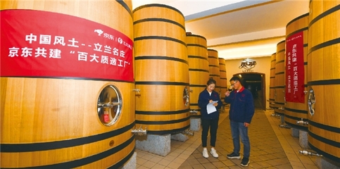 闽宁"山海情"再谱新篇,东京造携手立兰酒庄助力宁夏葡萄酒产业带振兴