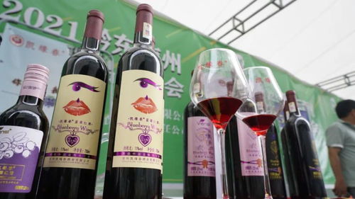 凯缘春蓝莓红酒亮相2021黔东南州农特产品博览会