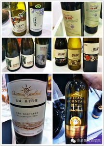 世葡会中国葡萄酒之声 精品化酿酒思维