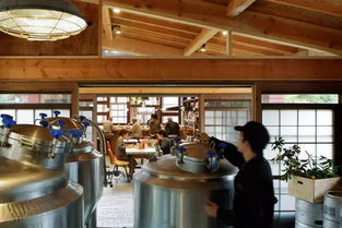 废品令人惊叹的可再造性,看看它们如何被用作建筑材料